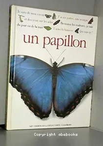 Qui suis-je ? un papillon