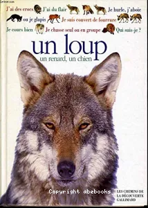 Un loup, un chien, un renard