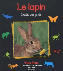 lapin, lutin gris (Le)