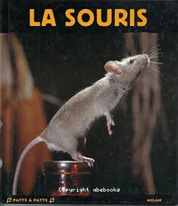 souris (La)