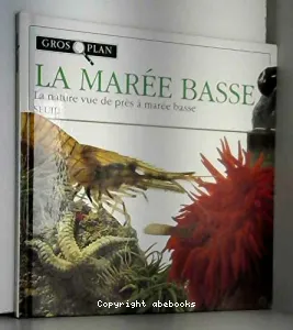 Marée basse (La)