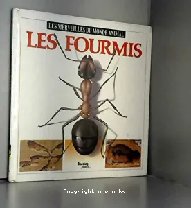 Fourmis (Les)