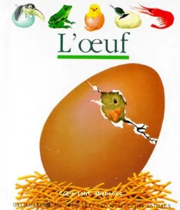 Oeuf (L')