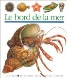 Le bord de la mer