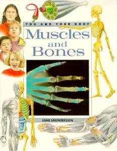 Muscles et les os (Les)