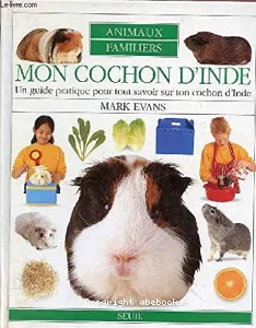 Mon cochon d'Inde