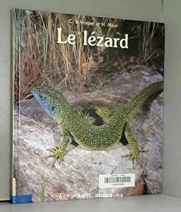 Lézard (Le)