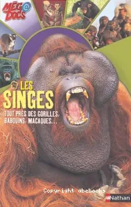 singes (Les)