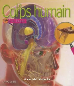 corps humain (Le)