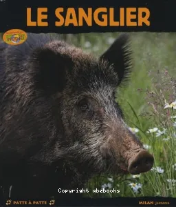 sanglier (Le)