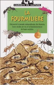 fourmilière (La)