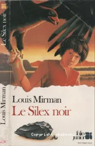 Silex noir... (Le)