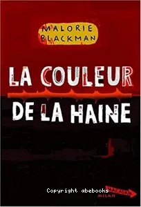 couleur de la haine (La)