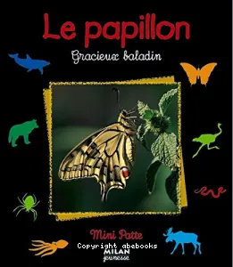 Papillon, gracieux baladin