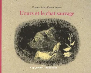 L'ours et le chat sauvage