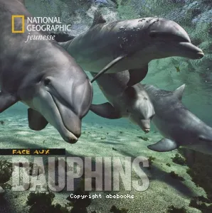 Face aux dauphins