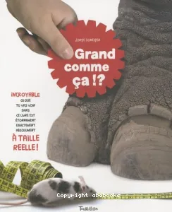 Grand comme ça ! ?