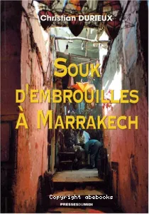 Souk d'embrouilles à Marrakech