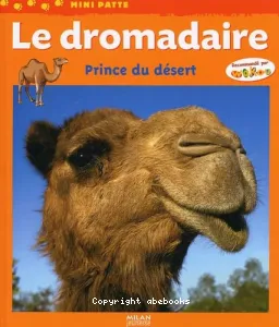 Le dromadaire