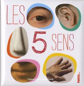 Les 5 sens