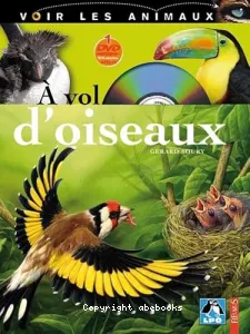 A vol d'oiseaux