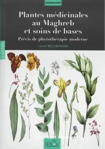 Plantes médicinales au Maghreb et soins de base