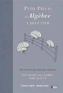 Petit précis d'algèbre à déguster