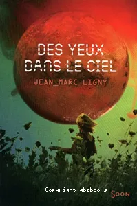 Des yeux dans le ciel