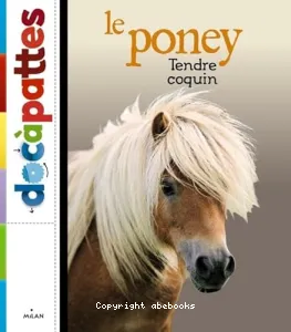 Le poney, tendre coquin