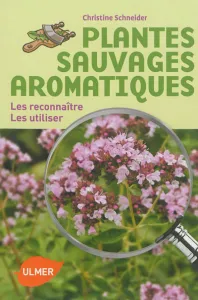 Plantes sauvages aromatiques
