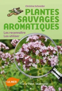 Plantes sauvages aromatiques