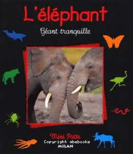 Eléphant (L')