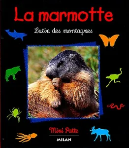 Marmotte (La)
