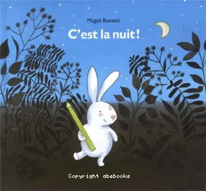 C'est la nuit !