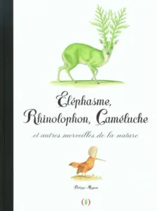 Eléphasme, rhinolophon, caméluche