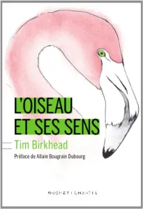 L'oiseau et ses sens