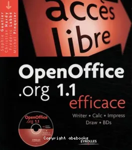 OpenOffice.org 1.1 efficace