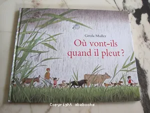 Où vont-ils quand il pleut?