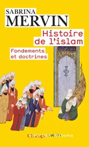 Histoire de l'islam