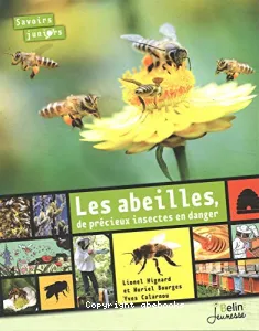 Les abeilles, de précieux insectes en danger