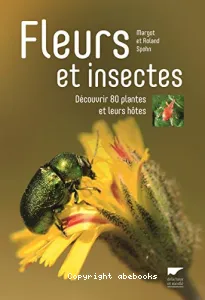 Fleurs et insectes