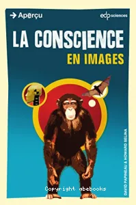 La conscience en images