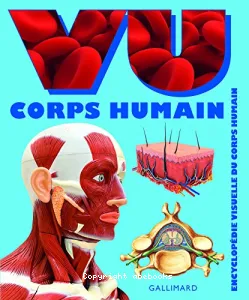 Vu corps humain