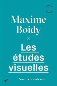 Les études visuelles