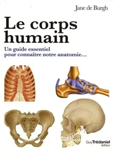 Le corps humain