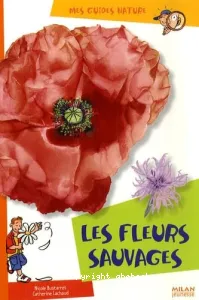 Les fleurs sauvages