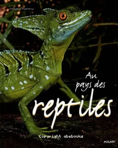 Au pays des reptiles