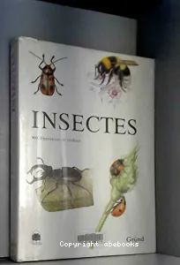 Insectes