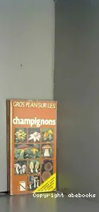 Champignons