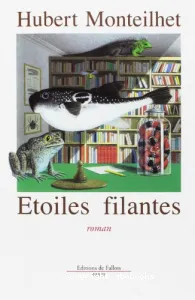 Etoiles filantes